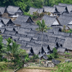 meccatraveller